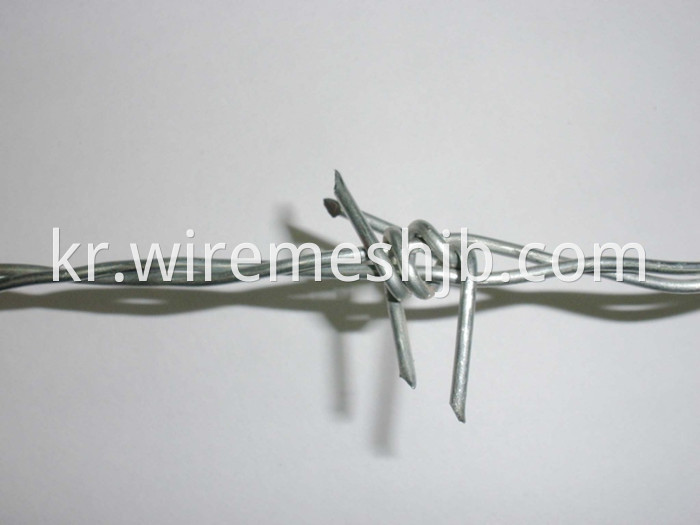 Barbed Wire Fencing